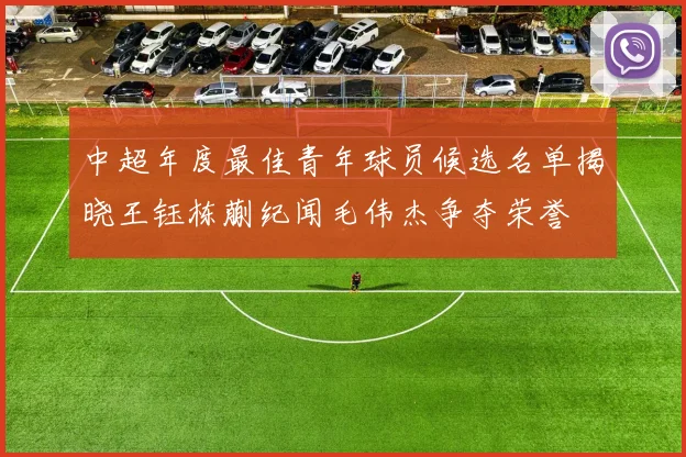 中超年度最佳青年球员候选名单揭晓王钰栋蒯纪闻毛伟杰争夺荣誉